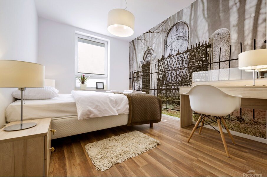 Iron & Stone Mural print