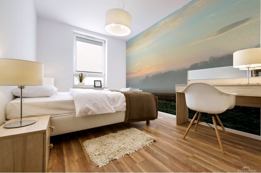 Days Last Shimmers Mural print