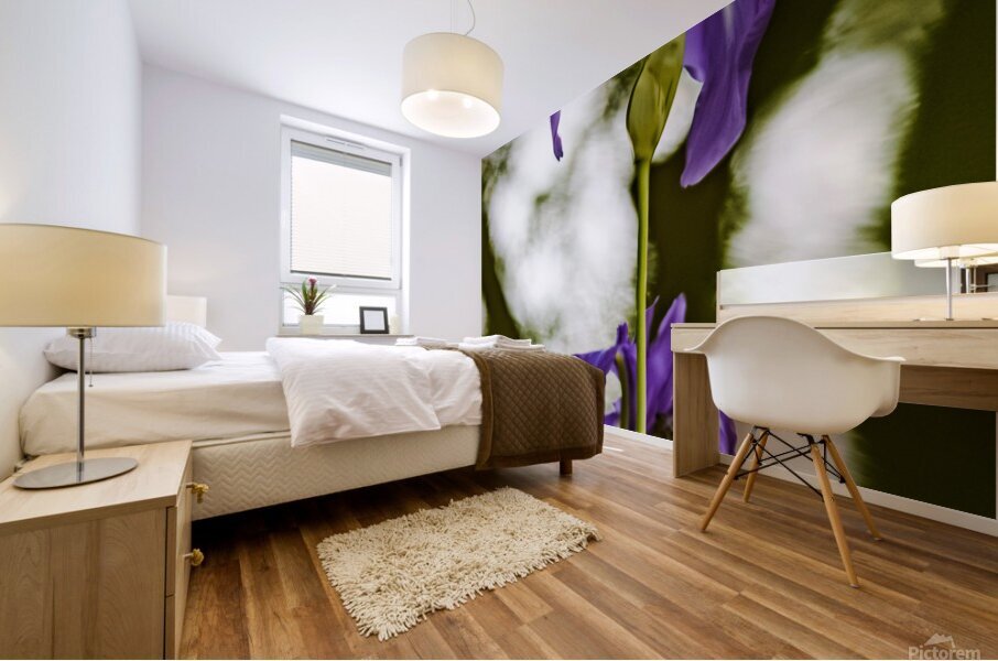 Purple Iris Mural print