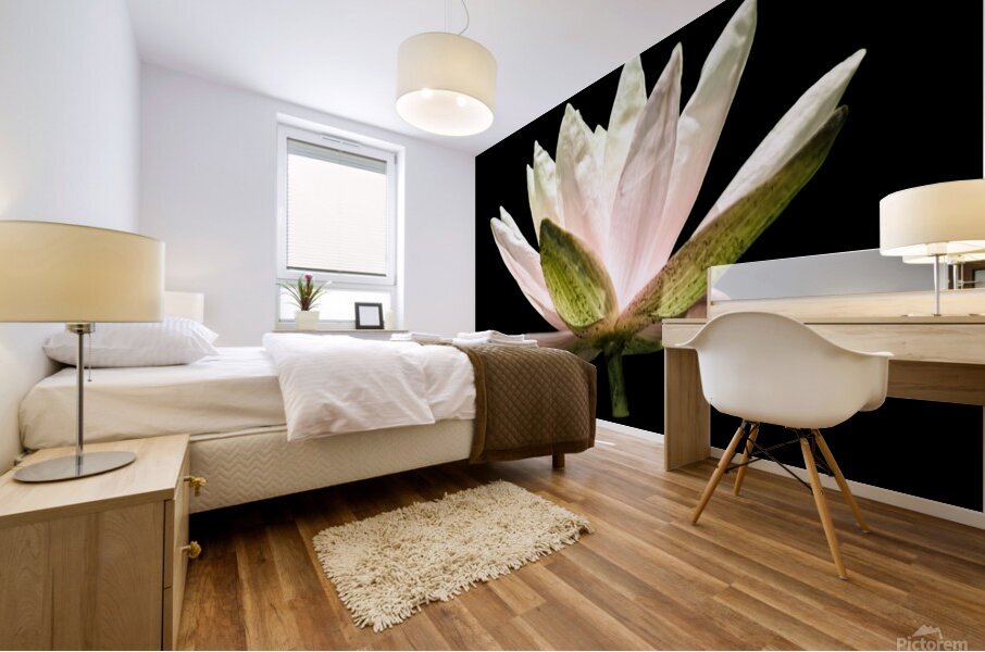 The Water Lotus Mural print