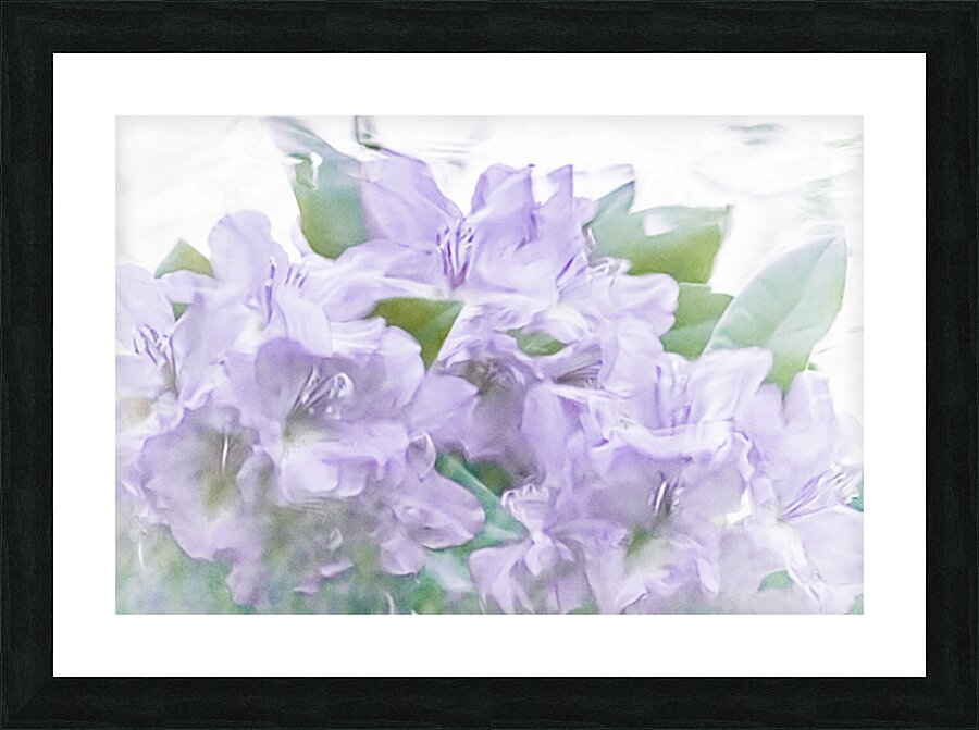 Purple Hydrangeas Picture Frame Printing