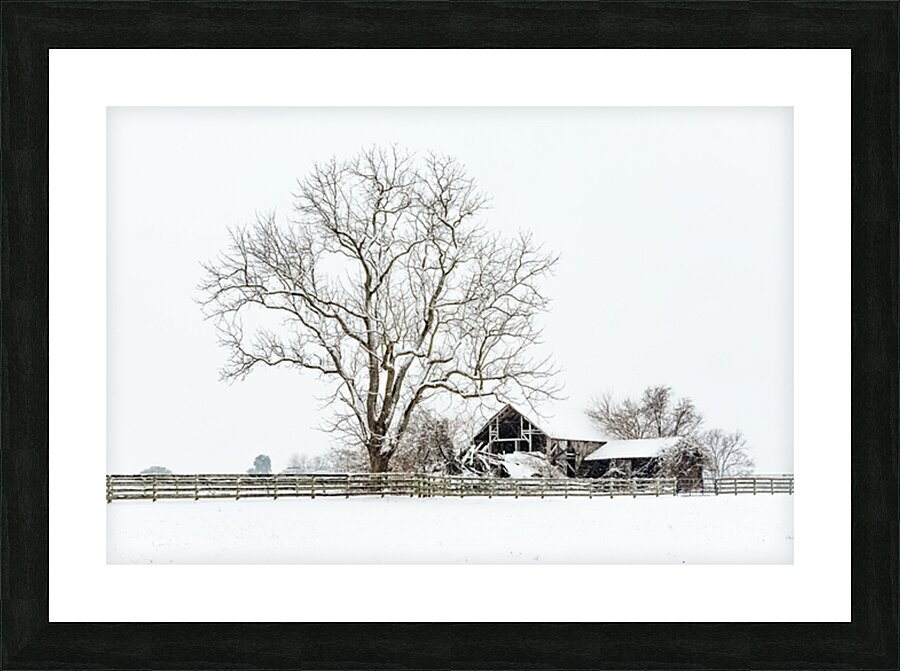  Fine Art print