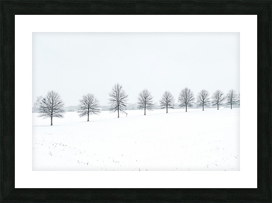 Tree Line Picture Frame print
