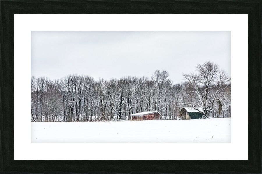  Fine Art print