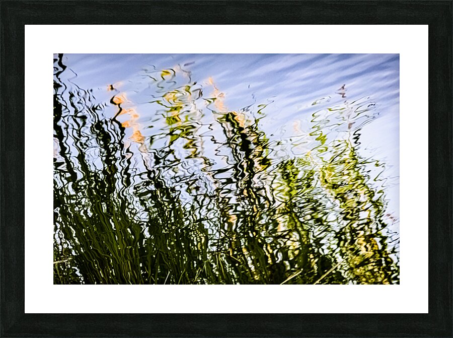 Cattails Picture Frame print