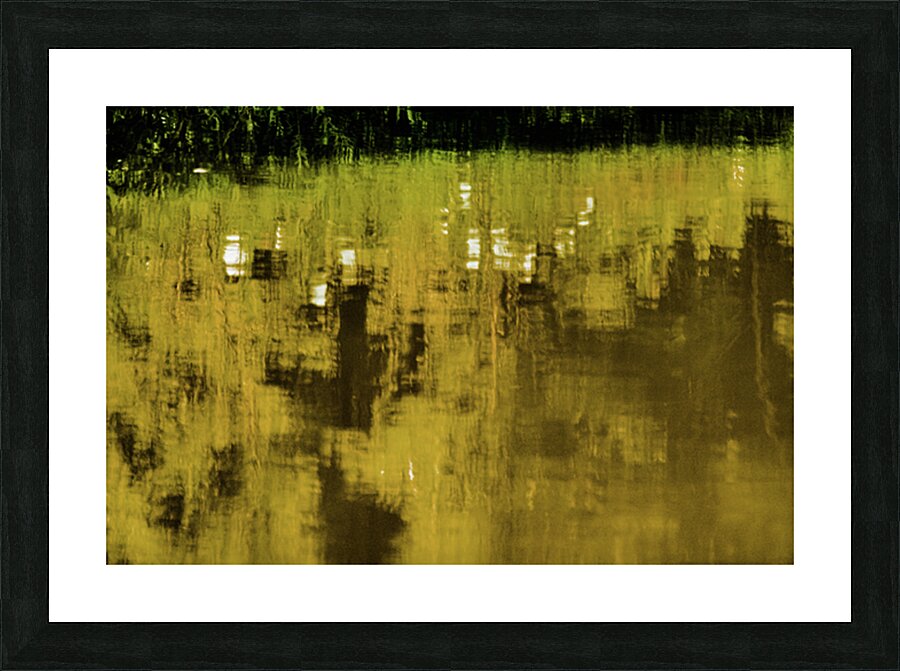 River Hibiscus Picture Frame print