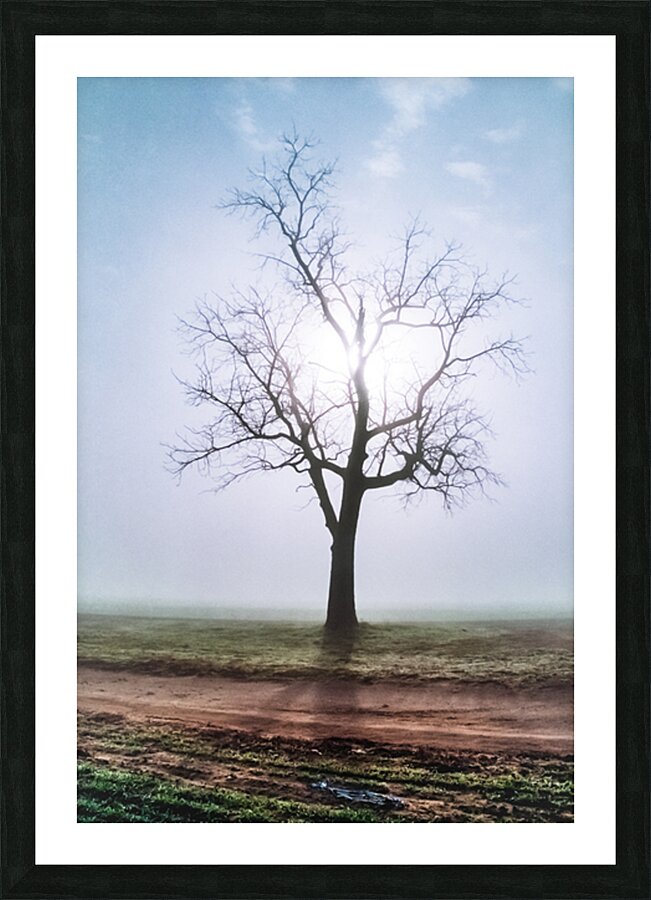  Fine Art print