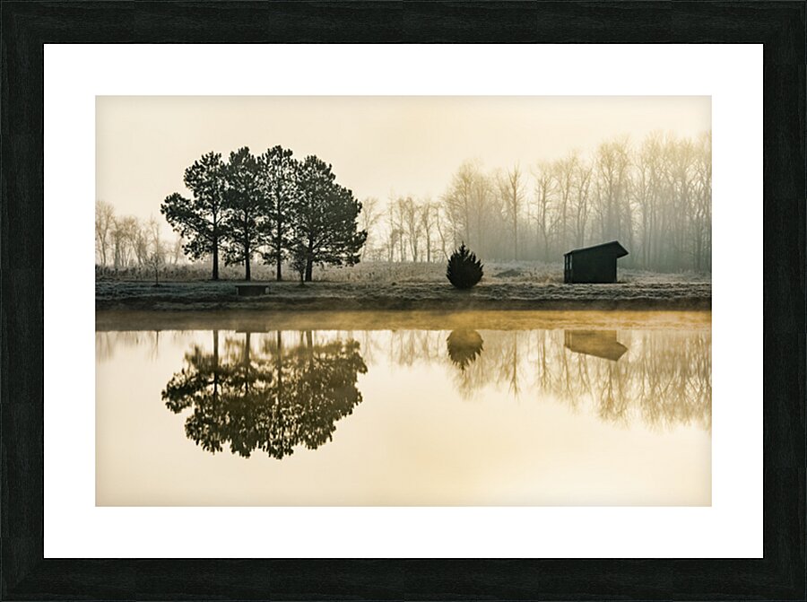  Fine Art print
