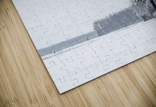 Winter Dusting Reflective Photography puzzle