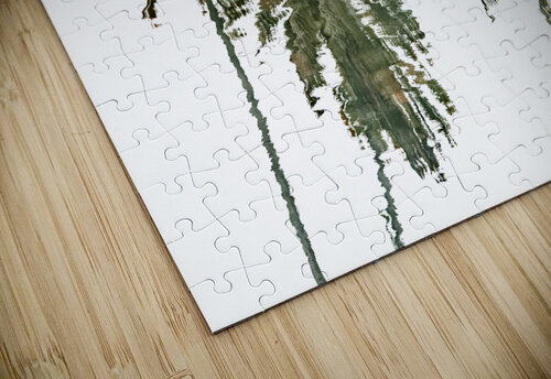 Palm Trees Reflective Photography puzzle