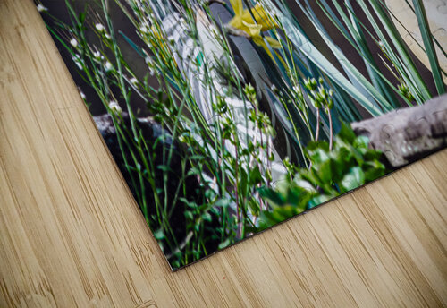 Whimsy Reflective Photography puzzle