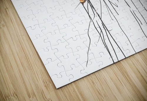Life Lines III Reflective Photography puzzle