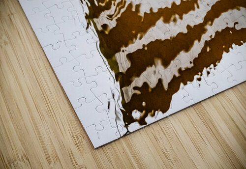 Star Spangled Banner Reflective Photography puzzle