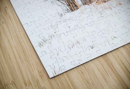 Utility Reflective Photography puzzle