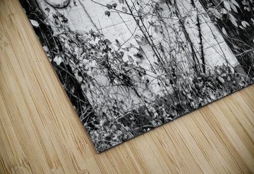 Forgotten Reflective Photography puzzle