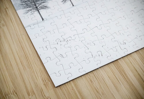 Tree Line Reflective Photography puzzle