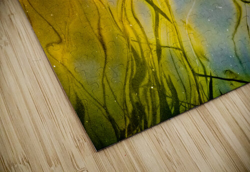 Star Dust IV Reflective Photography puzzle