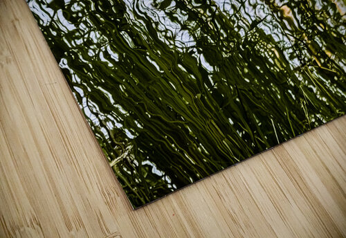 Cattails Reflective Photography puzzle