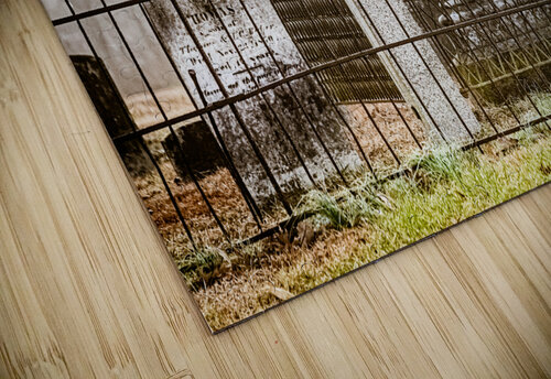 Iron & Stone Reflective Photography puzzle