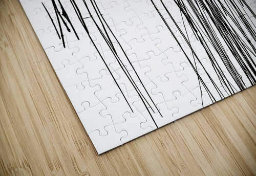 Life Lines Reflective Photography puzzle