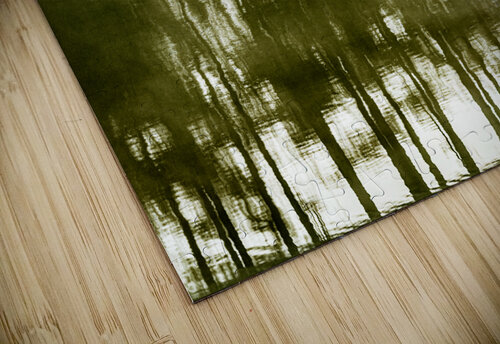 Steadfast Reflective Photography puzzle