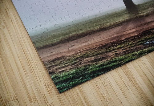 New Day Reflective Photography puzzle