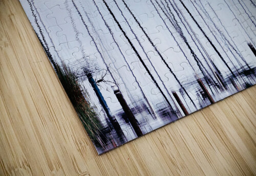 Summer Masts Reflective Photography puzzle