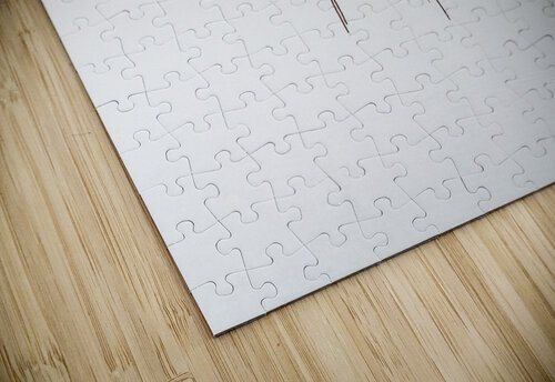 Solitude Reflective Photography puzzle