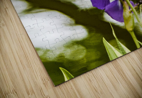 Purple Iris Reflective Photography puzzle