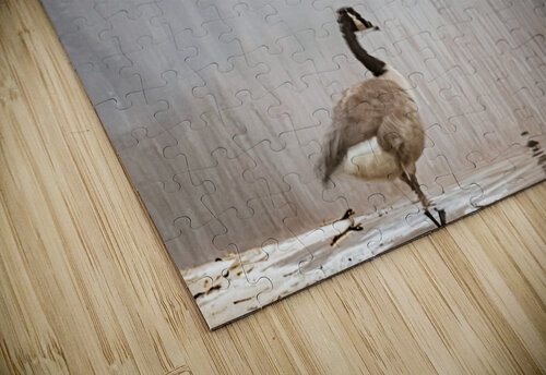 Whispers Reflective Photography puzzle