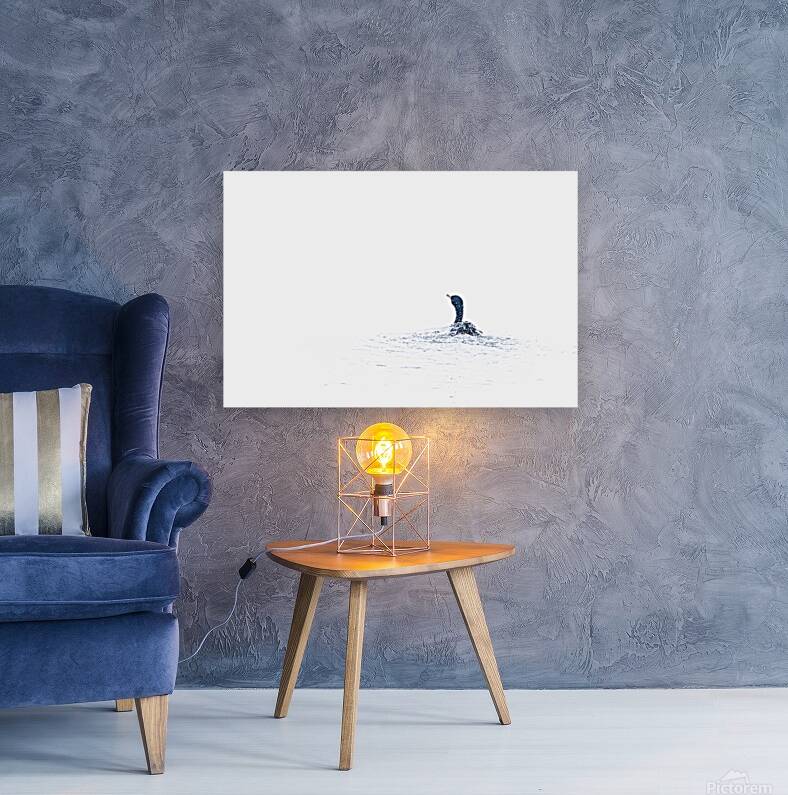 Cormorant VII Reproduction