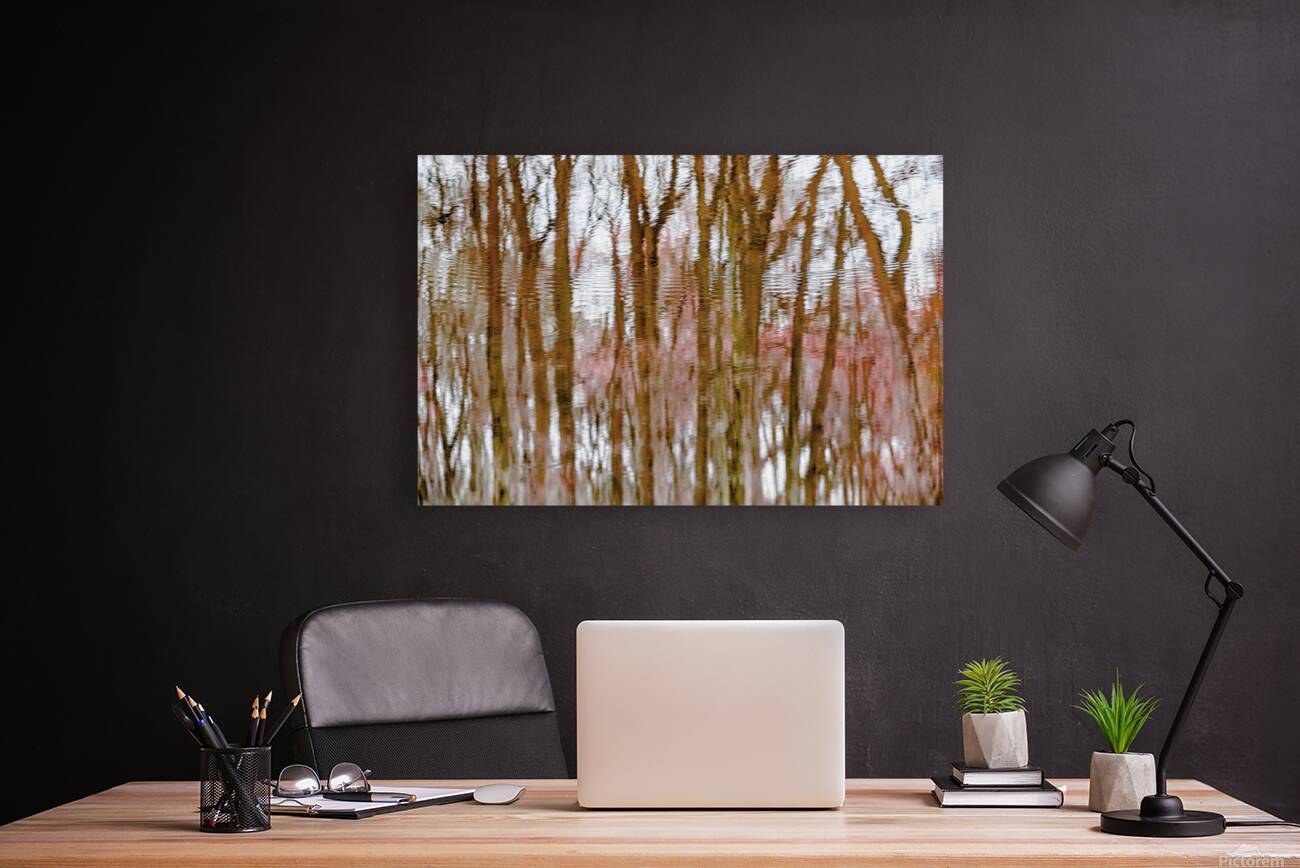 Finding the Forest through the Trees Reproduction