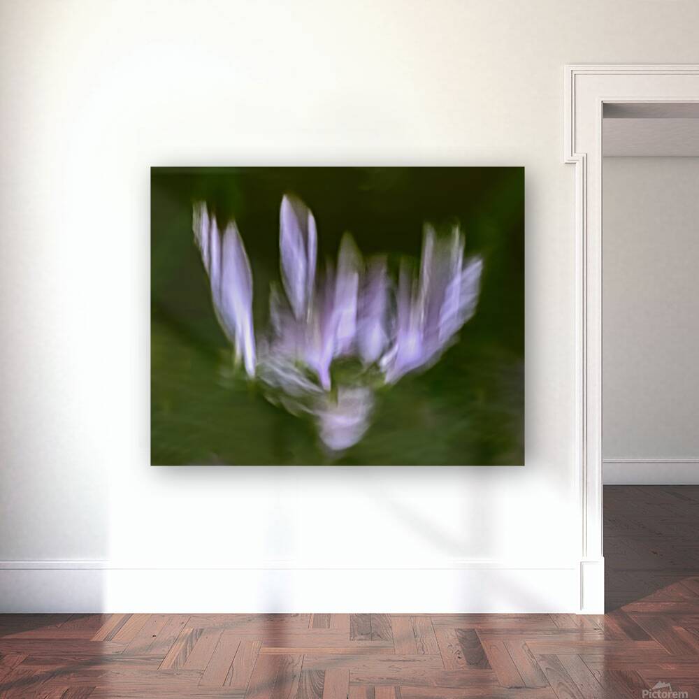 Hosta Blooms III Reproduction