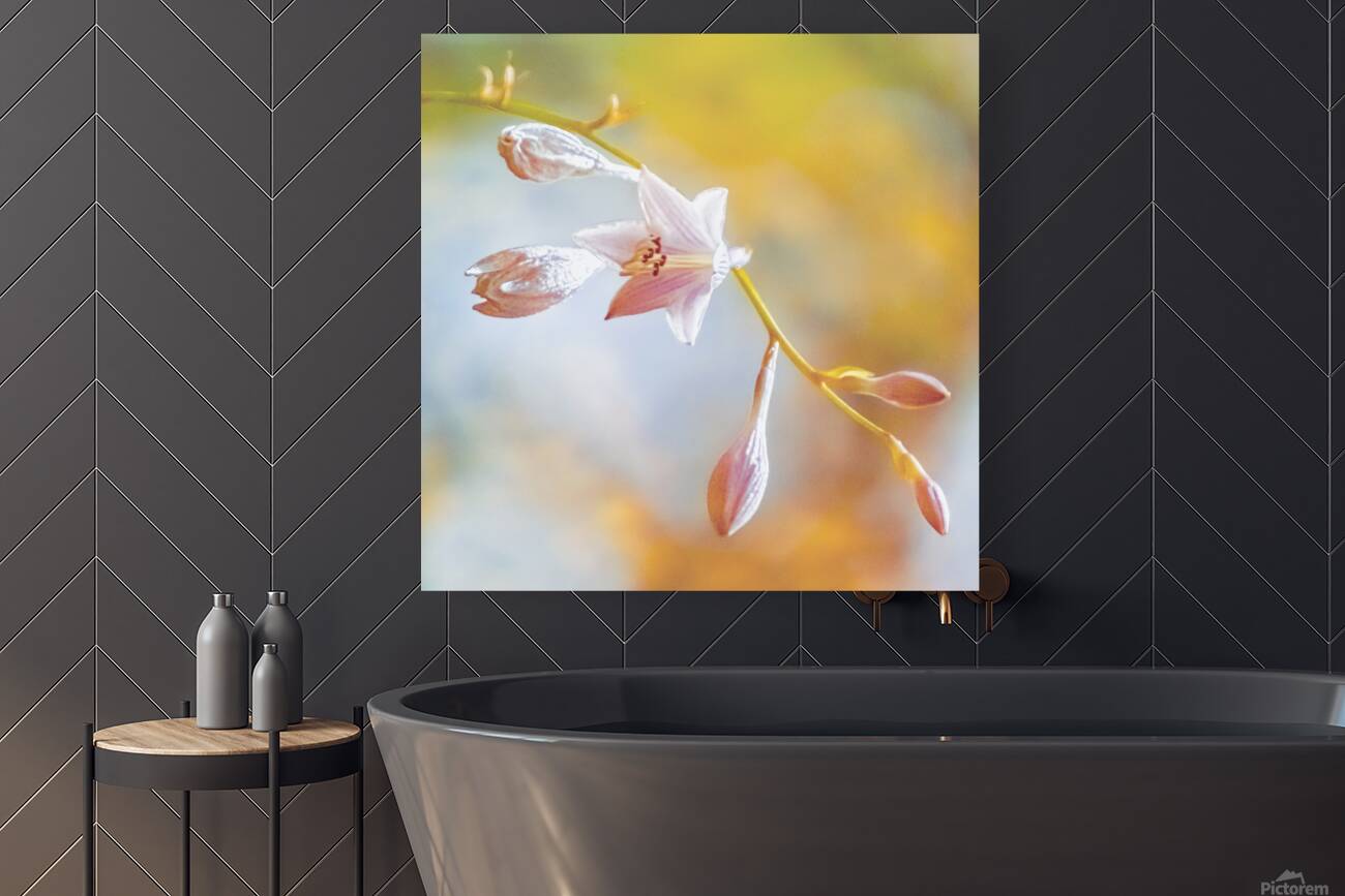 Hosta Bloom Reproduction