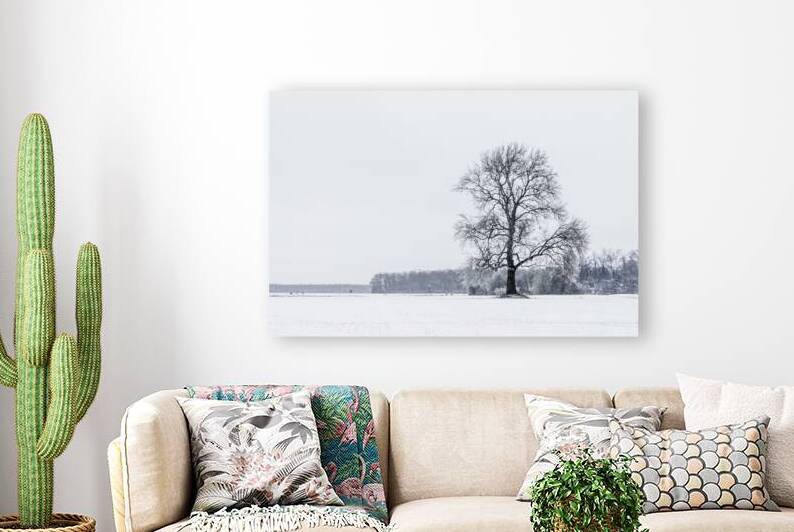 Winter Dusting by Reflective Photography
