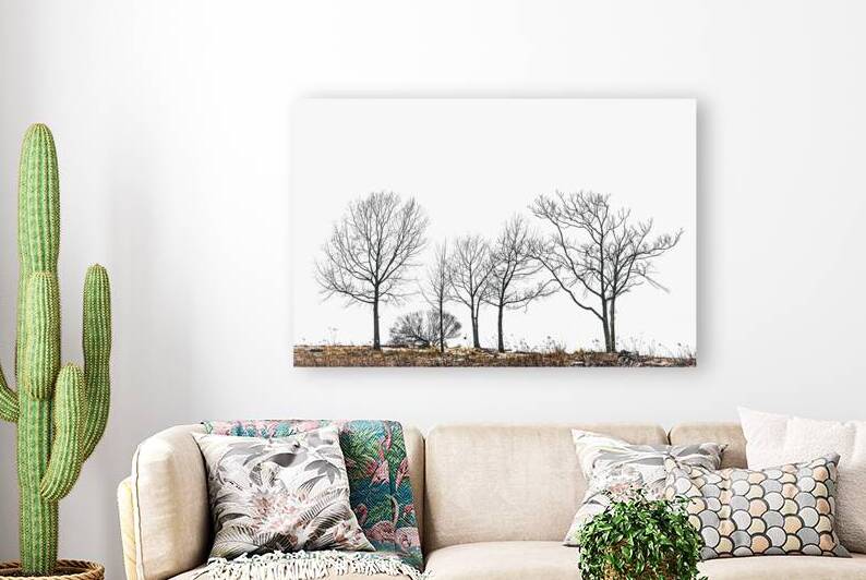 Ides of March by Reflective Photography