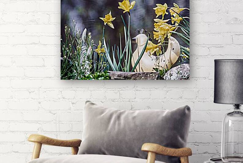 Whimsy by Reflective Photography