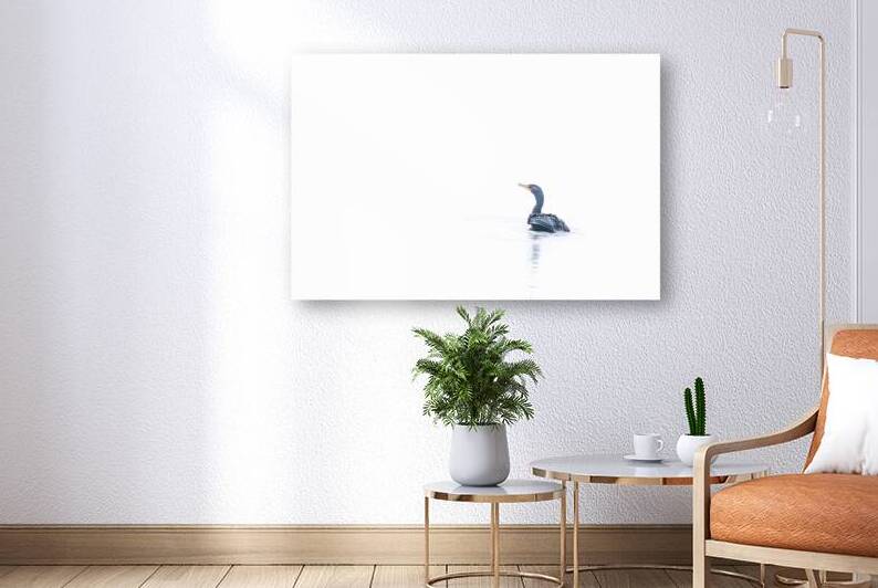 Cormorant by Reflective Photography
