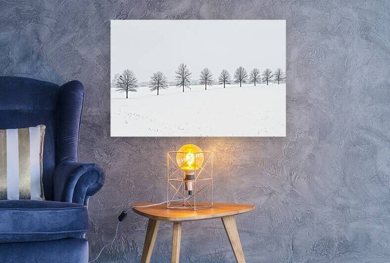 Tree Line by Reflective Photography
