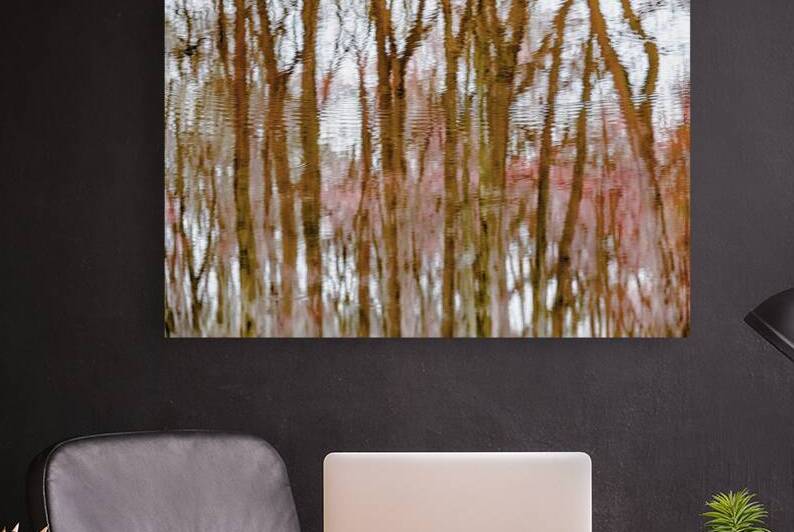 Finding the Forest through the Trees Reproduction