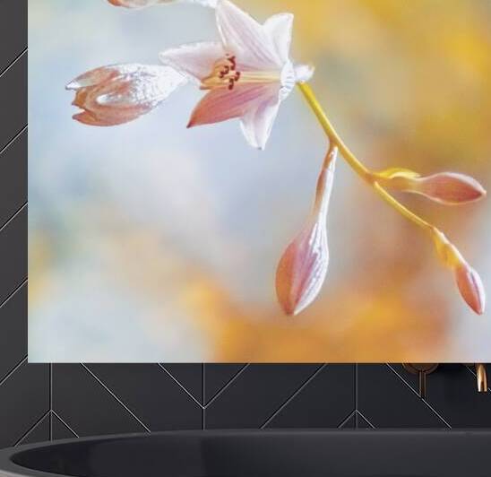 Hosta Bloom by Reflective Photography