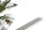 Palm Trees HD Metal print