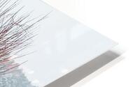 Utility HD Metal print