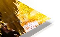 Meditation HD Metal print