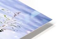 Cattails HD Metal print