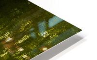 Boat House HD Metal print