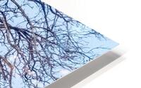 Respite HD Metal print