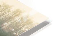 Winter Mists HD Metal print