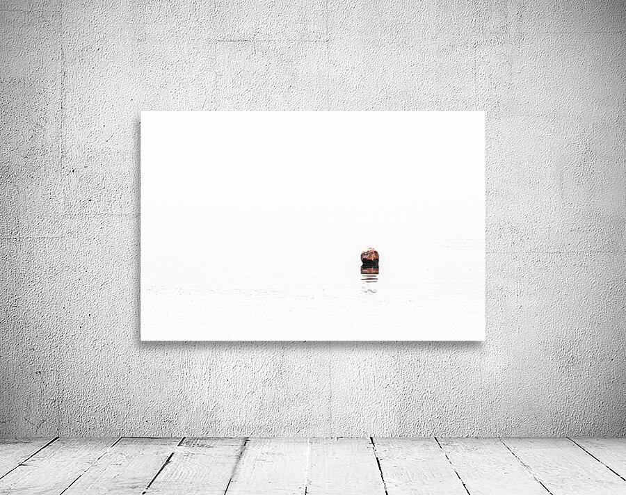 Buoy Wall Preview