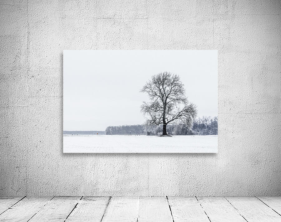 Winter Dusting Wall Preview